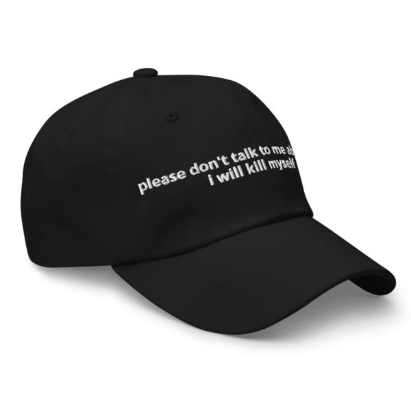 Please Don't Talk To Me About AI I Will Kill Myself Hat