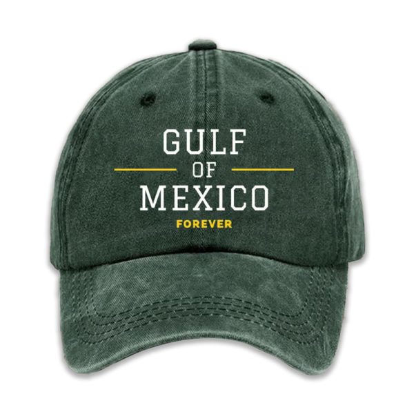 Unisex Gulf Of Mexico Print Hat 3