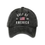 Retro Gulf Of America Est 2025 Print Baseball Cap