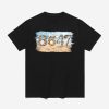 8647 Beach Seashells Shirt
