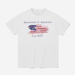 Robert Prevost Anointed In America Leo XIV Shirt
