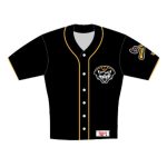 Erie SeaWolves Black Yellow Alternate Jersey 2025 Giveaway