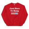 Rex Ryan Just Here To Bang Shirt