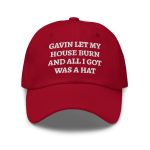 Gavin Let My House Burn And All I Got Was A Hat