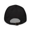 Justin Marks Average Velocity Hat