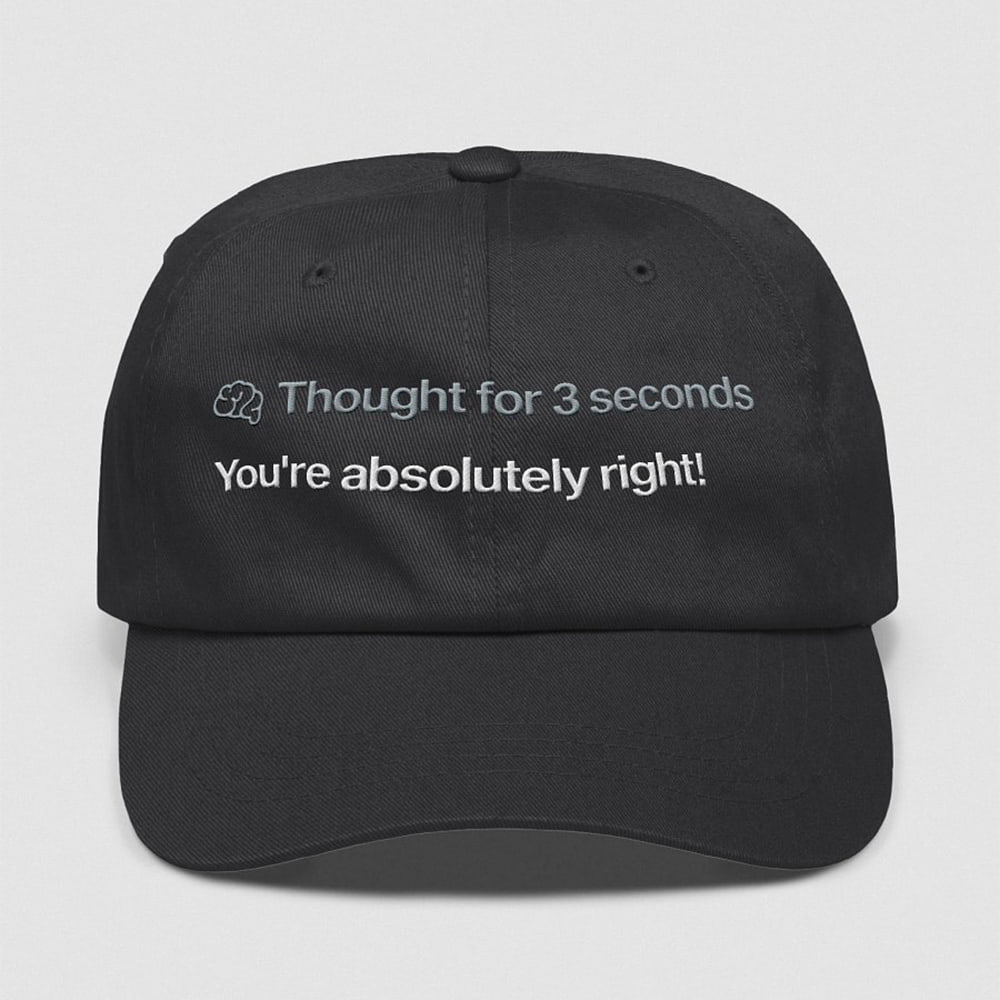 Thought For 3 Seconds You're Absolutely Right Hat Thought For 3 Seconds You're Absolutely Right Hat