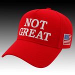 Trump Not Great 8647 Hat