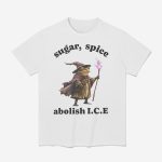 Wizard Frog Sugar Spice Abolish ICE 2026 Shirt