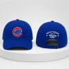 2026 Noah Kahan Wrigley Field Cubs Hat (1)