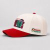 2026 Phillies Philadelphia Water Ice Phanatic Cap Giveaway2