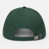 Can I Have That For My Junk Normal Hat2