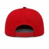 Kari Lake Was Right About Everything Hat2