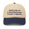 Maybe Your Cat Is Meowing Because It Wants A Cigarette Hat