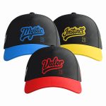 Nationals Pokemon GO Day Hat 2026 Giveaway