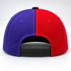 Northwestern Wildcats x Wisconsin Badgers Hat2